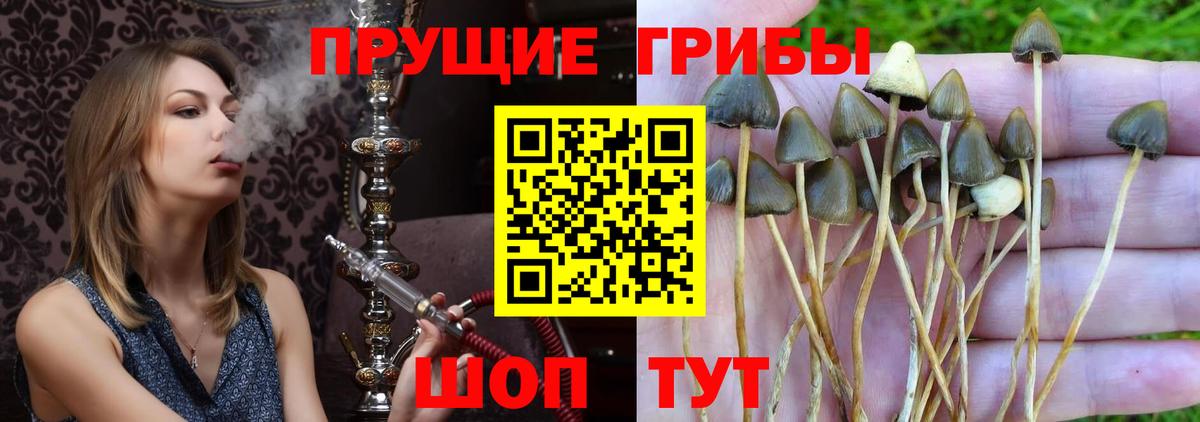 Галлюциногенные грибы ЛСД Тутаев